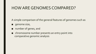 HOW ARE GENOMES COMPARED?
A simple comparison of the general features of genomes such as
■ genome size,
■ number of genes, and
■ chromosome number presents an entry point into
comparative genomic analysis
 