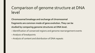 Comparison of genome structure at DNA
level
Chromosomal breakage and exchange of chromosomal
fragments are common mode of gene evolution.They can be
studied by comparing genome structures at DNA level.
– Identification of conserved regions and genome rearrangement events
– Analysis of breakpoints
– Analysis of content and distribution of DNA repeats
 