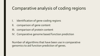 Comparative analysis of coding regions
I. Identification of gene-coding regions
II. comparison of gene content
III. comparison of protein content
IV. Comparative genome based function prediction
Number of algorithms that have been use in comparative
genomics to aid function prediction of genes.
 