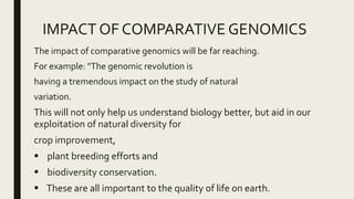 IMPACT OF COMPARATIVE GENOMICS
The impact of comparative genomics will be far reaching.
For example: "The genomic revolution is
having a tremendous impact on the study of natural
variation.
This will not only help us understand biology better, but aid in our
exploitation of natural diversity for
crop improvement,
 plant breeding efforts and
 biodiversity conservation.
 These are all important to the quality of life on earth.
 