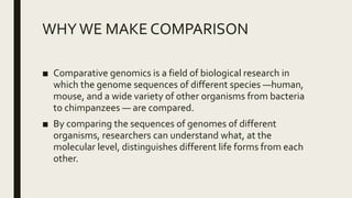 WHYWE MAKE COMPARISON
■ Comparative genomics is a field of biological research in
which the genome sequences of different species —human,
mouse, and a wide variety of other organisms from bacteria
to chimpanzees — are compared.
■ By comparing the sequences of genomes of different
organisms, researchers can understand what, at the
molecular level, distinguishes different life forms from each
other.
 