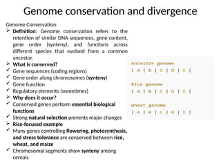 Comparative_Genomics_and_Genome_Sequencing_113540.pptx