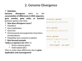 Comparative_Genomics_and_Genome_Sequencing_113540.pptx