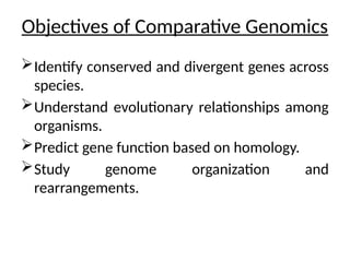 Comparative_Genomics_and_Genome_Sequencing_113540.pptx