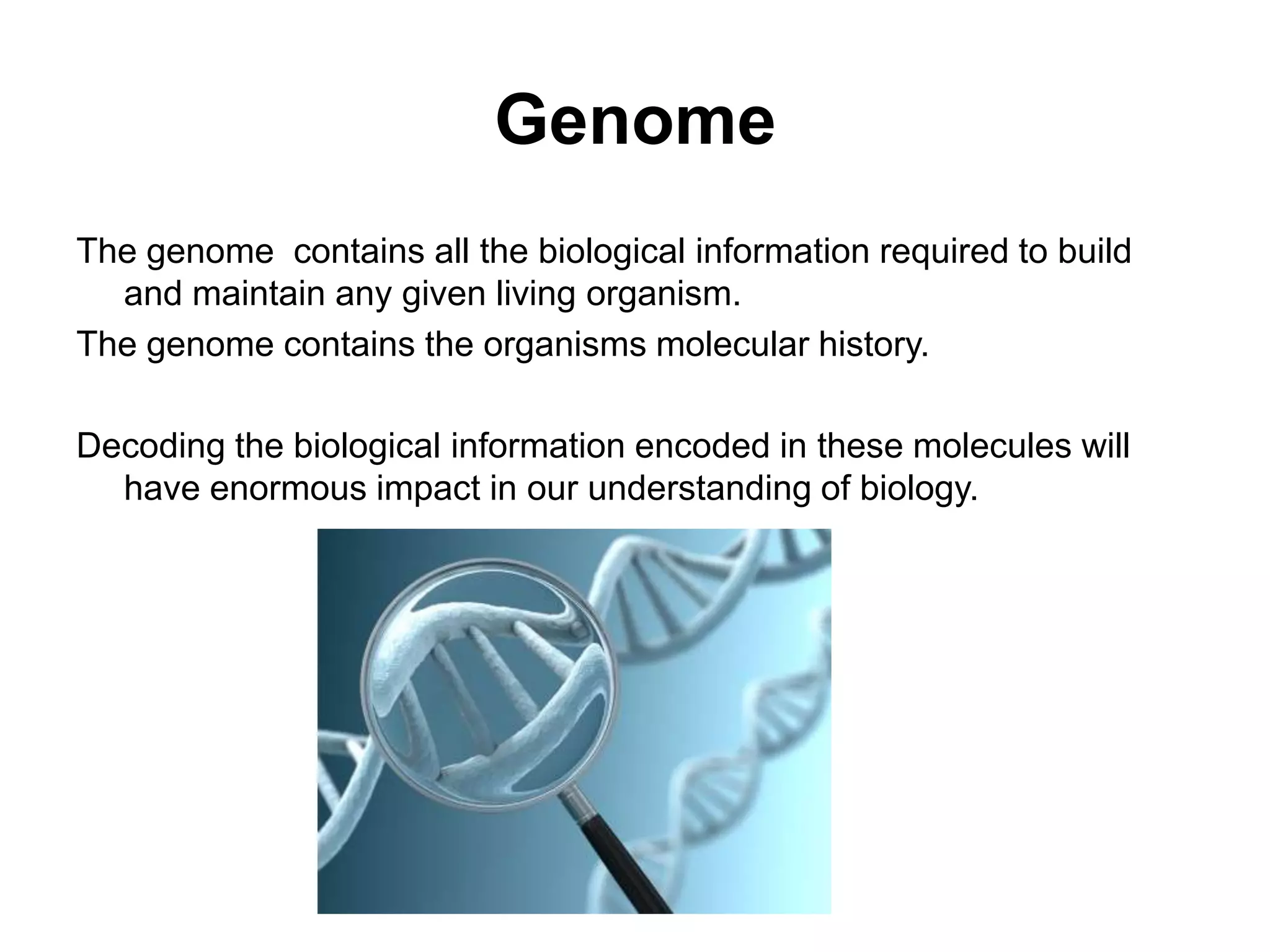 Genome
The genome contains all the biological information required to build
  and maintain any given living organism.
The genome contains the organisms molecular history.

Decoding the biological information encoded in these molecules will
  have enormous impact in our understanding of biology.
 