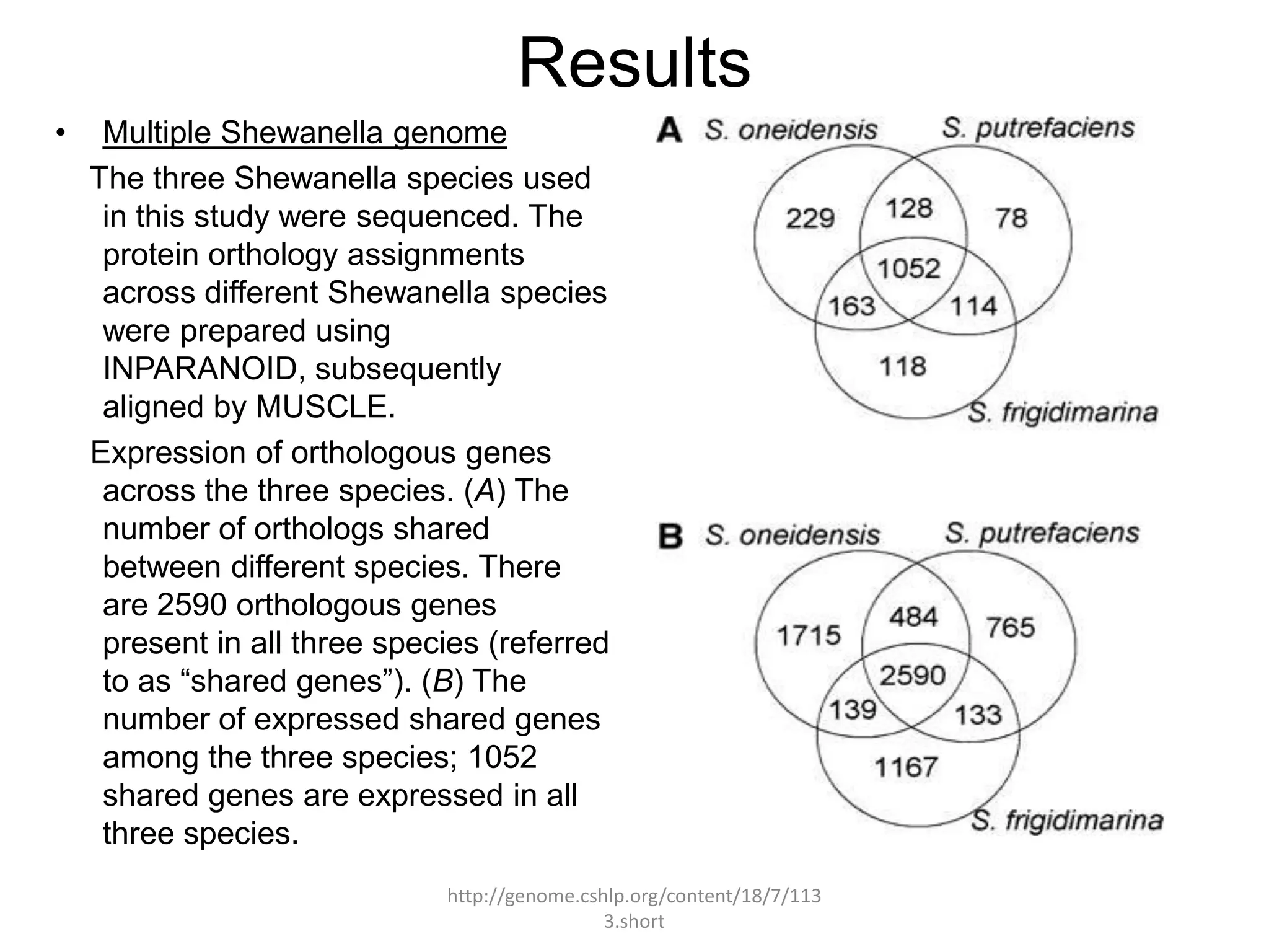 Results
•    Multiple Shewanella genome
    The three Shewanella species used
     in this study were sequenced. The
     protein orthology assignments
     across different Shewanella species
     were prepared using
     INPARANOID, subsequently
     aligned by MUSCLE.
    Expression of orthologous genes
     across the three species. (A) The
     number of orthologs shared
     between different species. There
     are 2590 orthologous genes
     present in all three species (referred
     to as “shared genes”). (B) The
     number of expressed shared genes
     among the three species; 1052
     shared genes are expressed in all
     three species.
                              http://genome.cshlp.org/content/18/7/113
                                               3.short
 