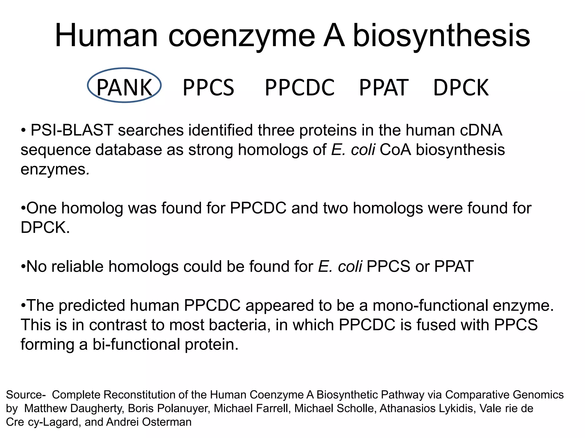 Human coenzyme A biosynthesis
                PANK            PPCS            PPCDC PPAT DPCK
  • PSI-BLAST searches identified three proteins in the human cDNA
  sequence database as strong homologs of E. coli CoA biosynthesis
  enzymes.

  •One homolog was found for PPCDC and two homologs were found for
  DPCK.

  •No reliable homologs could be found for E. coli PPCS or PPAT

  •The predicted human PPCDC appeared to be a mono-functional enzyme.
  This is in contrast to most bacteria, in which PPCDC is fused with PPCS
  forming a bi-functional protein.

Source- Complete Reconstitution of the Human Coenzyme A Biosynthetic Pathway via Comparative Genomics
by Matthew Daugherty, Boris Polanuyer, Michael Farrell, Michael Scholle, Athanasios Lykidis, Vale rie de
Cre cy-Lagard, and Andrei Osterman
 
