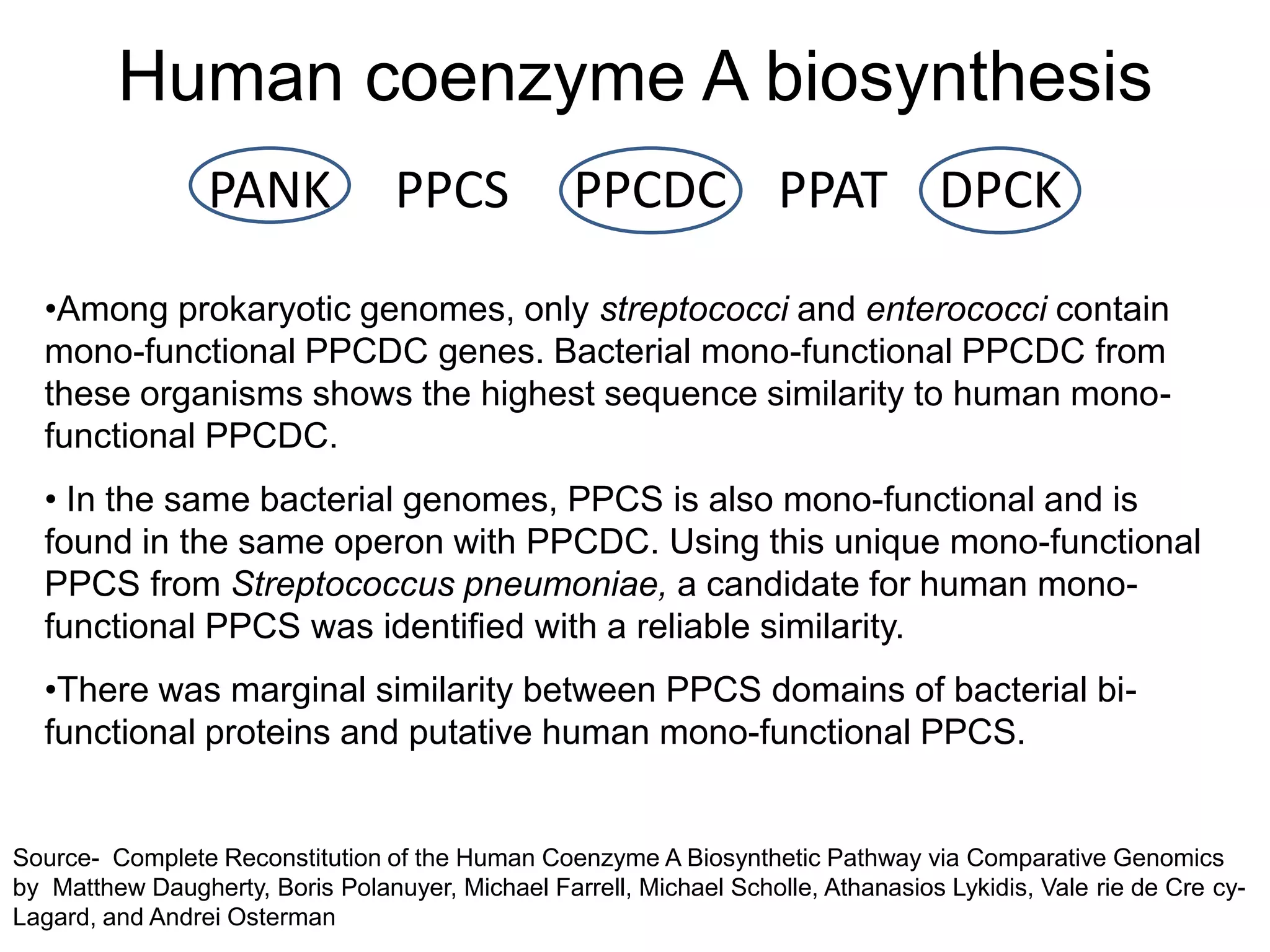 Human coenzyme A biosynthesis
                 PANK             PPCS            PPCDC PPAT DPCK

  •Among prokaryotic genomes, only streptococci and enterococci contain
  mono-functional PPCDC genes. Bacterial mono-functional PPCDC from
  these organisms shows the highest sequence similarity to human mono-
  functional PPCDC.
  • In the same bacterial genomes, PPCS is also mono-functional and is
  found in the same operon with PPCDC. Using this unique mono-functional
  PPCS from Streptococcus pneumoniae, a candidate for human mono-
  functional PPCS was identified with a reliable similarity.
  •There was marginal similarity between PPCS domains of bacterial bi-
  functional proteins and putative human mono-functional PPCS.


Source- Complete Reconstitution of the Human Coenzyme A Biosynthetic Pathway via Comparative Genomics
by Matthew Daugherty, Boris Polanuyer, Michael Farrell, Michael Scholle, Athanasios Lykidis, Vale rie de Cre cy-
Lagard, and Andrei Osterman
 
