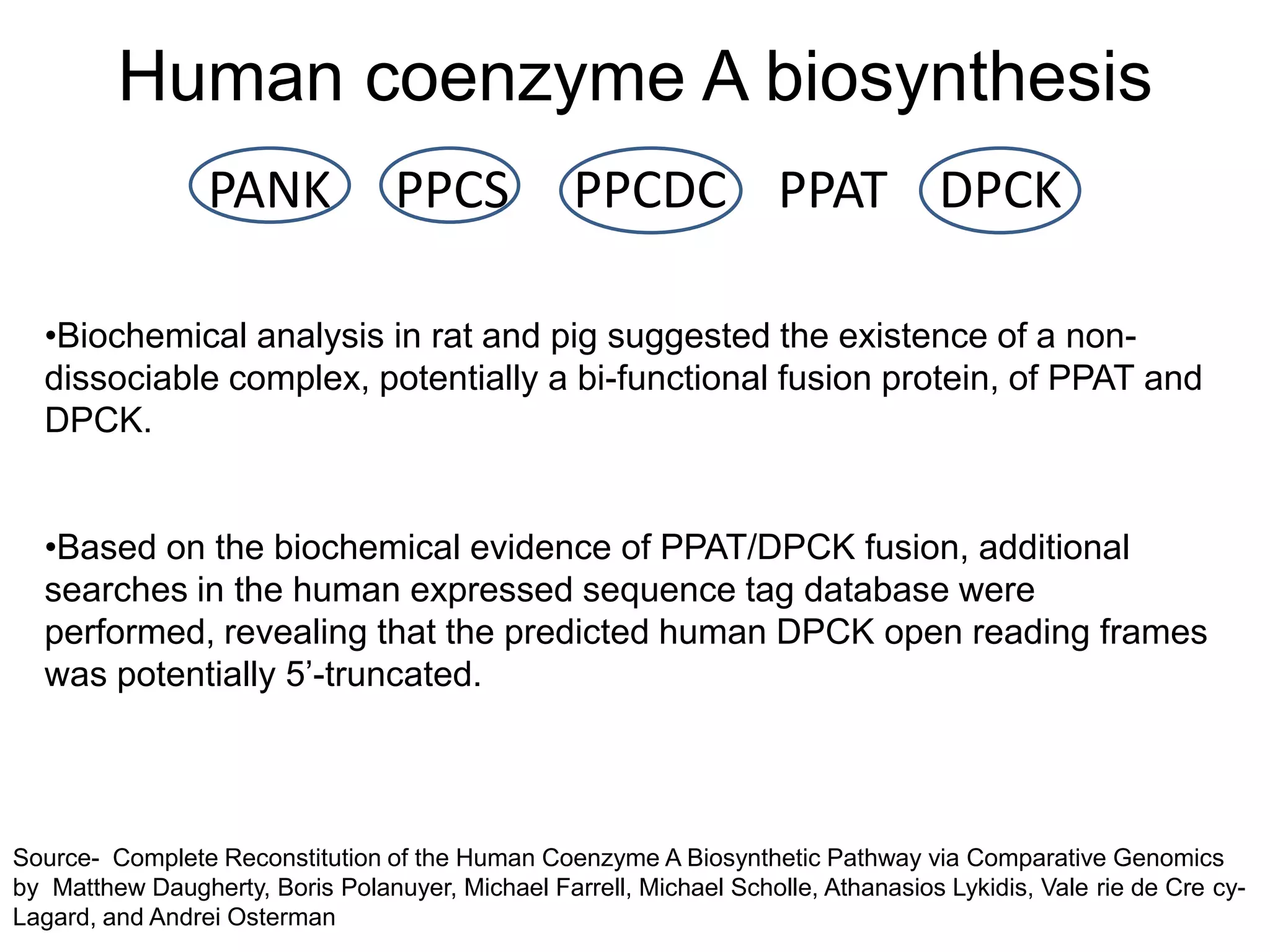 Human coenzyme A biosynthesis
                 PANK             PPCS            PPCDC PPAT DPCK

  •Biochemical analysis in rat and pig suggested the existence of a non-
  dissociable complex, potentially a bi-functional fusion protein, of PPAT and
  DPCK.


  •Based on the biochemical evidence of PPAT/DPCK fusion, additional
  searches in the human expressed sequence tag database were
  performed, revealing that the predicted human DPCK open reading frames
  was potentially 5‟-truncated.




Source- Complete Reconstitution of the Human Coenzyme A Biosynthetic Pathway via Comparative Genomics
by Matthew Daugherty, Boris Polanuyer, Michael Farrell, Michael Scholle, Athanasios Lykidis, Vale rie de Cre cy-
Lagard, and Andrei Osterman
 