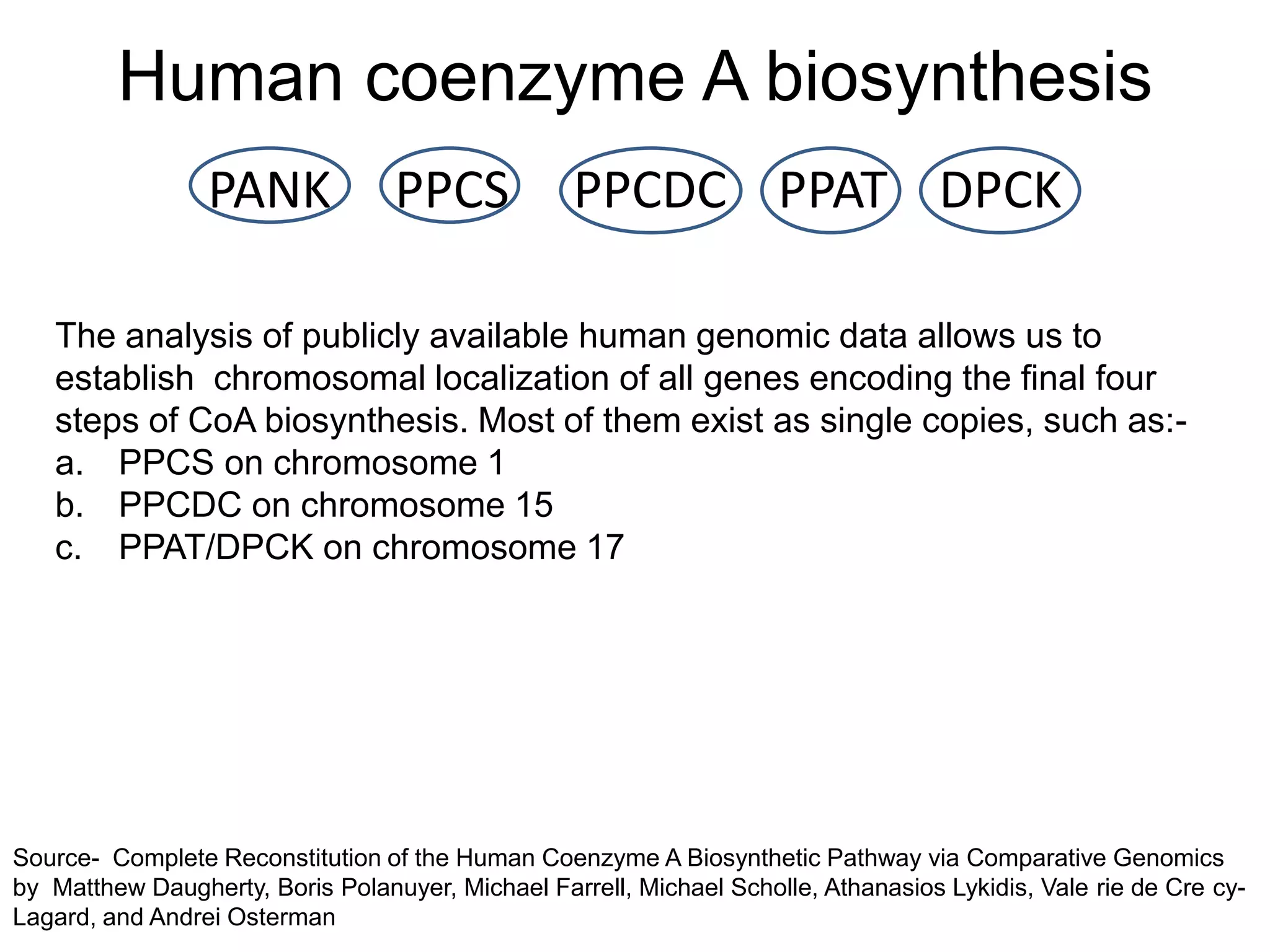Human coenzyme A biosynthesis
                 PANK             PPCS            PPCDC PPAT DPCK

   The analysis of publicly available human genomic data allows us to
   establish chromosomal localization of all genes encoding the final four
   steps of CoA biosynthesis. Most of them exist as single copies, such as:-
   a. PPCS on chromosome 1
   b. PPCDC on chromosome 15
   c. PPAT/DPCK on chromosome 17




Source- Complete Reconstitution of the Human Coenzyme A Biosynthetic Pathway via Comparative Genomics
by Matthew Daugherty, Boris Polanuyer, Michael Farrell, Michael Scholle, Athanasios Lykidis, Vale rie de Cre cy-
Lagard, and Andrei Osterman
 