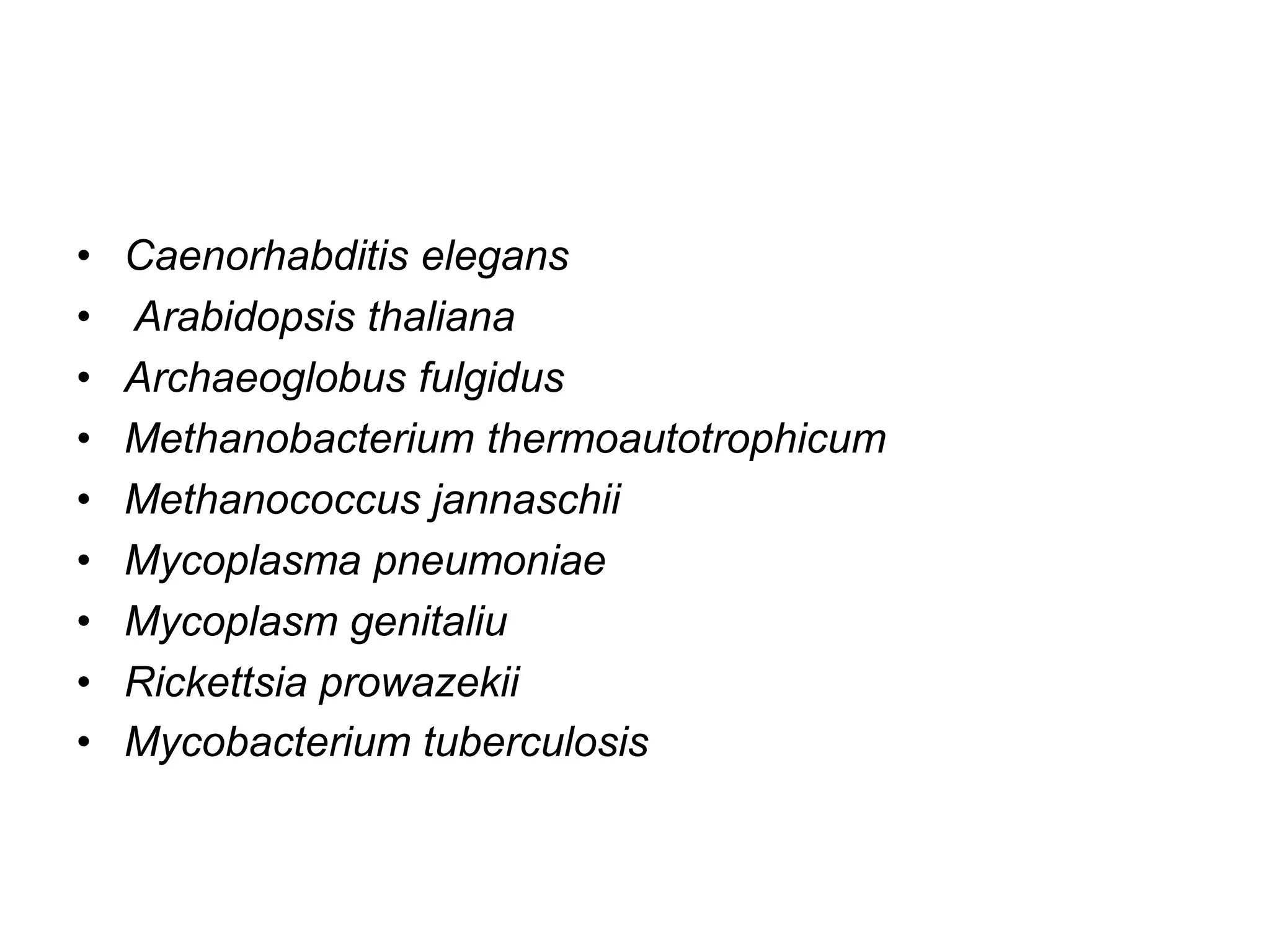 •   Caenorhabditis elegans
•   Arabidopsis thaliana
•   Archaeoglobus fulgidus
•   Methanobacterium thermoautotrophicum
•   Methanococcus jannaschii
•   Mycoplasma pneumoniae
•   Mycoplasm genitaliu
•   Rickettsia prowazekii
•   Mycobacterium tuberculosis
 