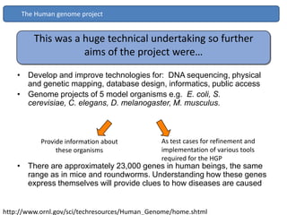 The Human genome project


         This was a huge technical undertaking so further
                    aims of the project were…

    • Develop and improve technologies for: DNA sequencing, physical
      and genetic mapping, database design, informatics, public access
    • Genome projects of 5 model organisms e.g. E. coli, S.
      cerevisiae, C. elegans, D. melanogaster, M. musculus.



           Provide information about           As test cases for refinement and
                these organisms                implementation of various tools
                                               required for the HGP
    • There are approximately 23,000 genes in human beings, the same
      range as in mice and roundworms. Understanding how these genes
      express themselves will provide clues to how diseases are caused


http://www.ornl.gov/sci/techresources/Human_Genome/home.shtml
 
