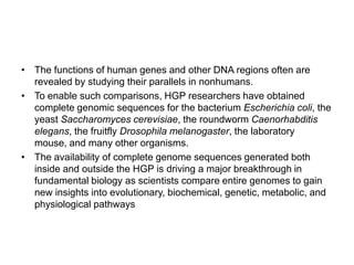 • The functions of human genes and other DNA regions often are
  revealed by studying their parallels in nonhumans.
• To enable such comparisons, HGP researchers have obtained
  complete genomic sequences for the bacterium Escherichia coli, the
  yeast Saccharomyces cerevisiae, the roundworm Caenorhabditis
  elegans, the fruitfly Drosophila melanogaster, the laboratory
  mouse, and many other organisms.
• The availability of complete genome sequences generated both
  inside and outside the HGP is driving a major breakthrough in
  fundamental biology as scientists compare entire genomes to gain
  new insights into evolutionary, biochemical, genetic, metabolic, and
  physiological pathways
 