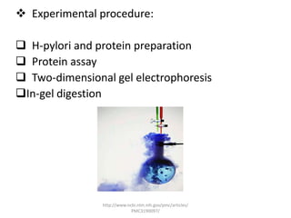 Experimental procedure:

 H-pylori and protein preparation
 Protein assay
 Two-dimensional gel electrophoresis
In-gel digestion




                http://www.ncbi.nlm.nih.gov/pmc/articles/
                             PMC3190097/
 