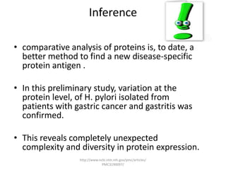Inference

• comparative analysis of proteins is, to date, a
  better method to find a new disease-specific
  protein antigen .

• In this preliminary study, variation at the
  protein level, of H. pylori isolated from
  patients with gastric cancer and gastritis was
  confirmed.

• This reveals completely unexpected
  complexity and diversity in protein expression.
                 http://www.ncbi.nlm.nih.gov/pmc/articles/
                              PMC3190097/
 