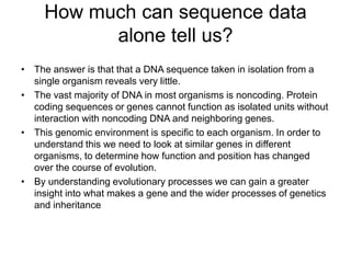 How much can sequence data
           alone tell us?
• The answer is that that a DNA sequence taken in isolation from a
  single organism reveals very little.
• The vast majority of DNA in most organisms is noncoding. Protein
  coding sequences or genes cannot function as isolated units without
  interaction with noncoding DNA and neighboring genes.
• This genomic environment is specific to each organism. In order to
  understand this we need to look at similar genes in different
  organisms, to determine how function and position has changed
  over the course of evolution.
• By understanding evolutionary processes we can gain a greater
  insight into what makes a gene and the wider processes of genetics
  and inheritance
 