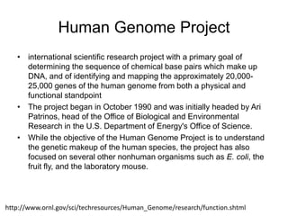 Human Genome Project
   • international scientific research project with a primary goal of
     determining the sequence of chemical base pairs which make up
     DNA, and of identifying and mapping the approximately 20,000-
     25,000 genes of the human genome from both a physical and
     functional standpoint
   • The project began in October 1990 and was initially headed by Ari
     Patrinos, head of the Office of Biological and Environmental
     Research in the U.S. Department of Energy's Office of Science.
   • While the objective of the Human Genome Project is to understand
     the genetic makeup of the human species, the project has also
     focused on several other nonhuman organisms such as E. coli, the
     fruit fly, and the laboratory mouse.




http://www.ornl.gov/sci/techresources/Human_Genome/research/function.shtml
 