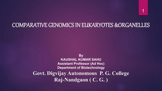 COMPARATIVE GENOMICS IN EUKARYOTES &ORGANELLES
1
By
KAUSHAL KUMAR SAHU
Assistant Professor (Ad Hoc)
Department of Biotechnology
Govt. Digvijay Autonomous P. G. College
Raj-Nandgaon ( C. G. )
 
