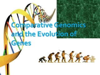 Comparative Genomics
and the Evolution of
Genes
 