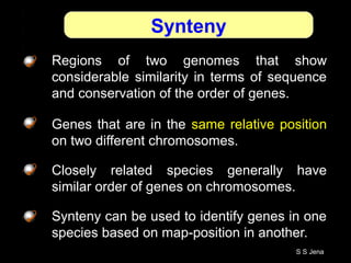 Synteny
Regions of two genomes that show
considerable similarity in terms of sequence
and conservation of the order of genes.
Genes that are in the same relative position
on two different chromosomes.
Closely related species generally have
similar order of genes on chromosomes.
Synteny can be used to identify genes in one
species based on map-position in another.
S S Jena
 