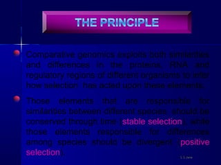 Comparative genomics exploits both similarities
and differences in the proteins, RNA and
regulatory regions of different organisms to infer
how selection has acted upon these elements.
Those elements that are responsible for
similarities between different species should be
conserved through time (stable selection), while
those elements responsible for differences
among species should be divergent (positive
selection). S S JenaS S Jena
 