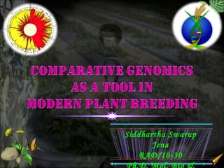 Siddhartha Swarup
Jena
RAD/10-30
 