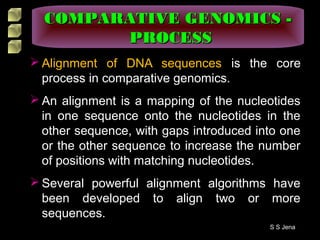  Alignment of DNA sequences is the core
process in comparative genomics.
 An alignment is a mapping of the nucleotides
in one sequence onto the nucleotides in the
other sequence, with gaps introduced into one
or the other sequence to increase the number
of positions with matching nucleotides.
 Several powerful alignment algorithms have
been developed to align two or more
sequences.
COMPARATIVE GENOMICS -COMPARATIVE GENOMICS -
PROCESSPROCESS
S S Jena
 