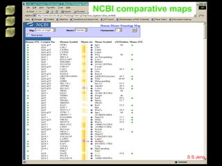 NCBI comparative maps
S S Jena
 
