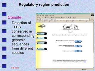 Regulatory region prediction
Consite:
– Detection of
TFBS
conserved in
corresponding
genomic
sequences
from different
species
S S Jena
 