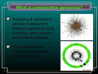 What is comparative genomics?
Analyzing & comparing
genetic material from
different species to study
evolution, gene function,
and inherited disease.
To understand the
uniqueness between
different species.
S S Jena
 