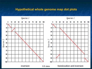 Hypothetical whole genome map dot plots
S S JenaS S Jena
 