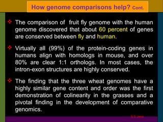  The comparison of fruit fly genome with the human
genome discovered that about 60 percent of genes
are conserved between fly and human.
 Virtually all (99%) of the protein-coding genes in
humans align with homologs in mouse, and over
80% are clear 1:1 orthologs. In most cases, the
intron-exon structures are highly conserved.
 The finding that the three wheat genomes have a
highly similar gene content and order was the first
demonstration of colinearity in the grasses and a
pivotal finding in the development of comparative
genomics.
How genome comparisons help? Cont.
S S Jena
 