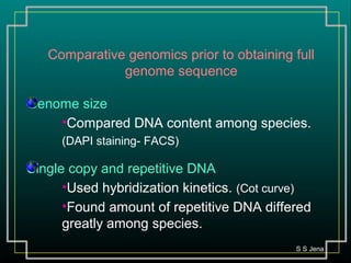 Comparative genomics prior to obtaining full
genome sequence
Genome size
•Compared DNA content among species.
(DAPI staining- FACS)
Single copy and repetitive DNA
•Used hybridization kinetics. (Cot curve)
•Found amount of repetitive DNA differed
greatly among species.
S S Jena
 