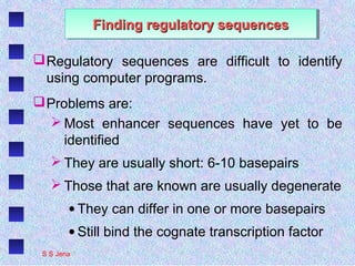Finding regulatory sequencesFinding regulatory sequencesFinding regulatory sequencesFinding regulatory sequences
Regulatory sequences are difficult to identify
using computer programs.
Problems are:
 Most enhancer sequences have yet to be
identified
 They are usually short: 6-10 basepairs
 Those that are known are usually degenerate
• They can differ in one or more basepairs
• Still bind the cognate transcription factor
S S Jena
 