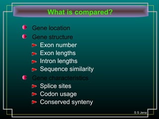 What is compared?
Gene location
Gene structure
Exon number
Exon lengths
Intron lengths
Sequence similarity
Gene characteristics
Splice sites
Codon usage
Conserved synteny
S S Jena
 