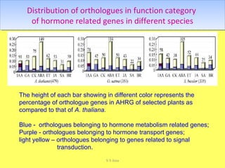 Distribution of orthologues in function category
of hormone related genes in different species
Distribution of orthologues in function category
of hormone related genes in different species
The height of each bar showing in different color represents the
percentage of orthologue genes in AHRG of selected plants as
compared to that of A. thaliana.
Blue - orthologues belonging to hormone metabolism related genes;
Purple - orthologues belonging to hormone transport genes;
light yellow – orthologues belonging to genes related to signal
transduction.
S S Jena
 
