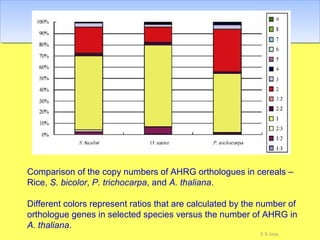 Comparison of the copy numbers of AHRG orthologues in cereals –
Rice, S. bicolor, P. trichocarpa, and A. thaliana.
Different colors represent ratios that are calculated by the number of
orthologue genes in selected species versus the number of AHRG in
A. thaliana.
S S Jena
 