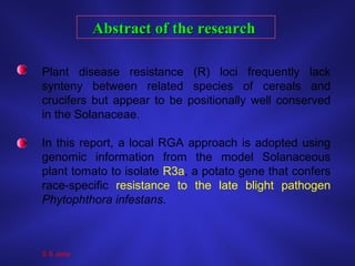 Plant disease resistance (R) loci frequently lack
synteny between related species of cereals and
crucifers but appear to be positionally well conserved
in the Solanaceae.
In this report, a local RGA approach is adopted using
genomic information from the model Solanaceous
plant tomato to isolate R3a, a potato gene that confers
race-specific resistance to the late blight pathogen
Phytophthora infestans.
Abstract of the researchAbstract of the research
S S Jena
 