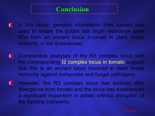 In this study, genomic information from tomato was
used to isolate the potato late blight resistance gene
R3a from an ancient locus involved in plant innate
immunity in the Solanaceae.
Comparative analyses of the R3 complex locus with
the corresponding I2 complex locus in tomato suggest
that this is an ancient locus involved in plant innate
immunity against oomycetes and fungal pathogens.
However, the R3 complex locus has evolved after
divergence from tomato and the locus has experienced
a significant expansion in potato without disruption of
the flanking colinearity.
ConclusionConclusion
S S Jena
 