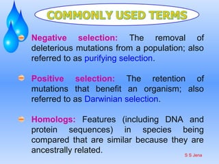 Negative selection: The removal of
deleterious mutations from a population; also
referred to as purifying selection.
Positive selection: The retention of
mutations that benefit an organism; also
referred to as Darwinian selection.
Homologs: Features (including DNA and
protein sequences) in species being
compared that are similar because they are
ancestrally related. S S Jena
 