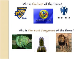 Who is  the best  of the three? Who is  the most dangerous  of the three? 