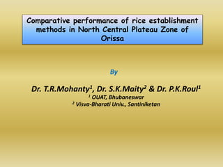 Comparative performance of rice establishment
methods in North Central Plateau Zone of
Orissa
By
Dr. T.R.Mohanty1, Dr. S.K.Maity2 & Dr. P.K.Roul1
1 OUAT, Bhubaneswar
2 Visva-Bharati Univ., Santiniketan
 
