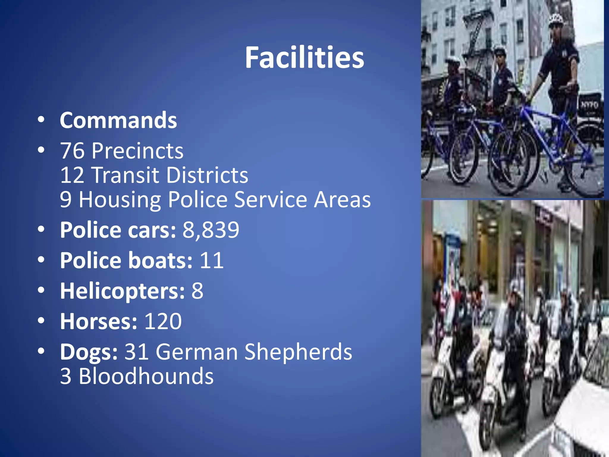 Facilities
• Commands
• 76 Precincts
12 Transit Districts
9 Housing Police Service Areas
• Police cars: 8,839
• Police boats: 11
• Helicopters: 8
• Horses: 120
• Dogs: 31 German Shepherds
3 Bloodhounds
 