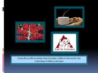 Costa Rica coffe es better than Ecuador coffee in the world, the
Colombian Coffee is the best
 
