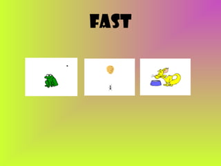 fast

 