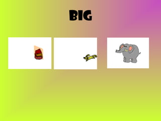 big

 