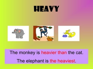 heavy

The monkey is heavier than the cat.
The elephant is the heaviest.

 