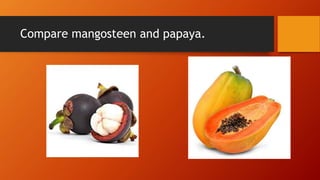Compare mangosteen and papaya.
 