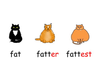 fat fatter fattest
