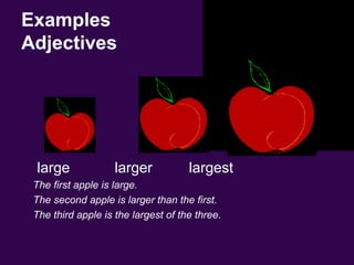 Examples
Adjectives
large larger largest
The first apple is large.
The second apple is larger than the first.
The third apple is the largest of the three.
 